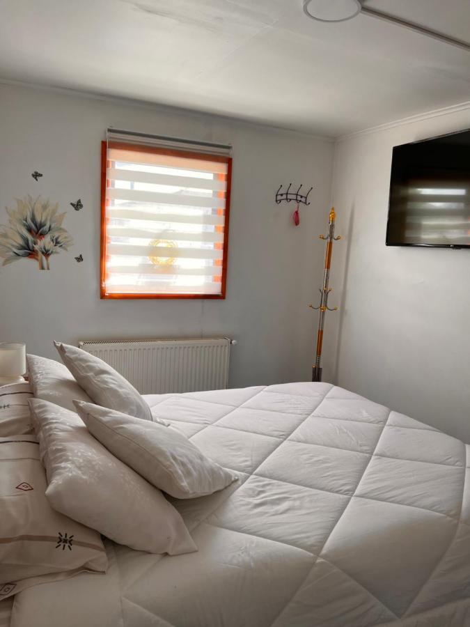 Hostal B&B Coastal Natales Puerto Natales Extérieur photo
